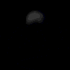 Шутник